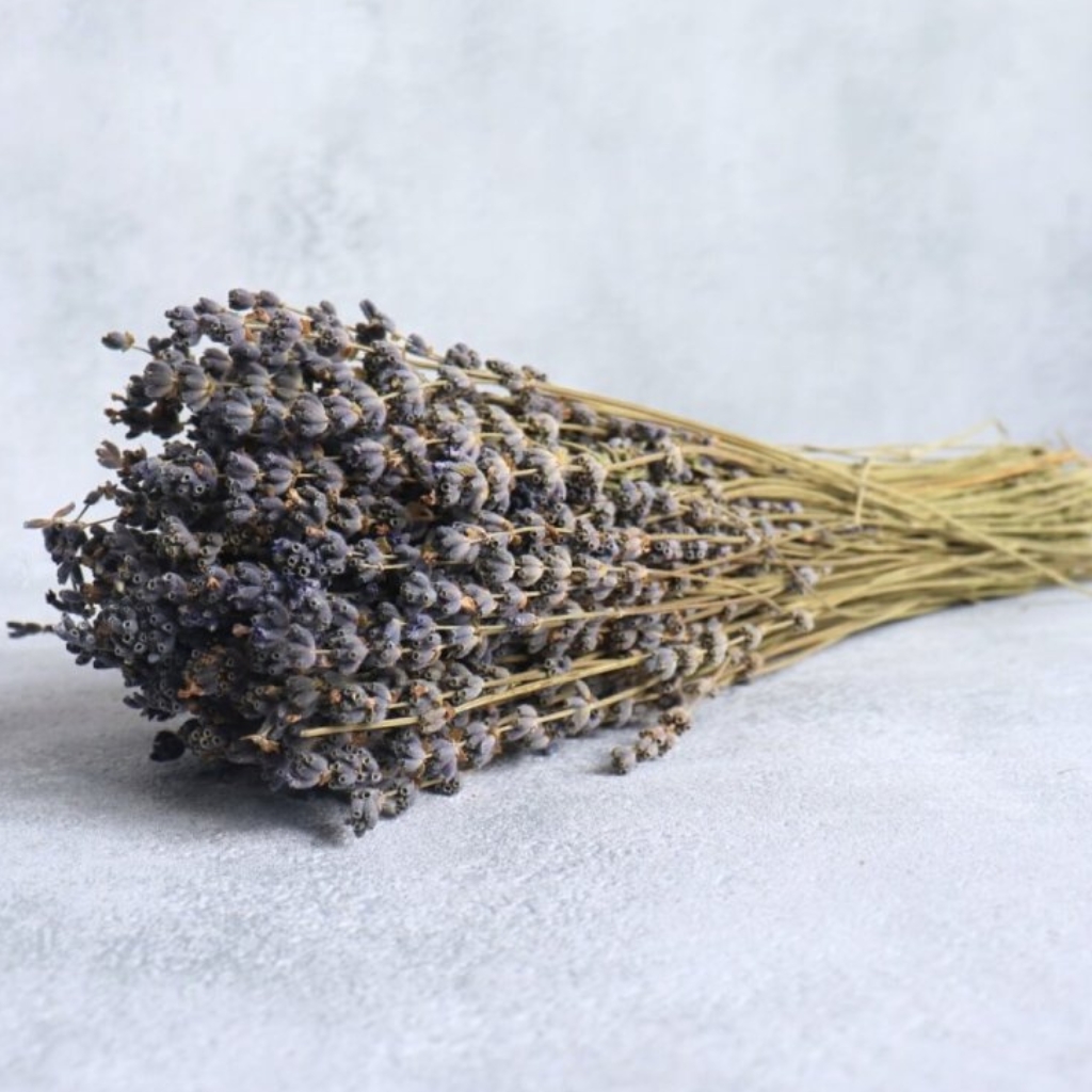 Levandule přírodní